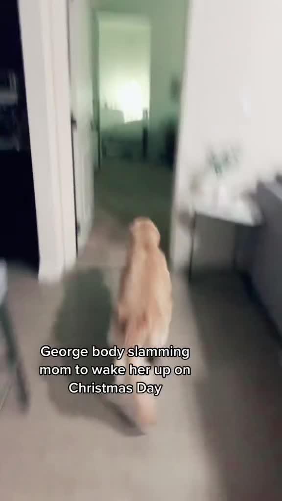 @George The Golden