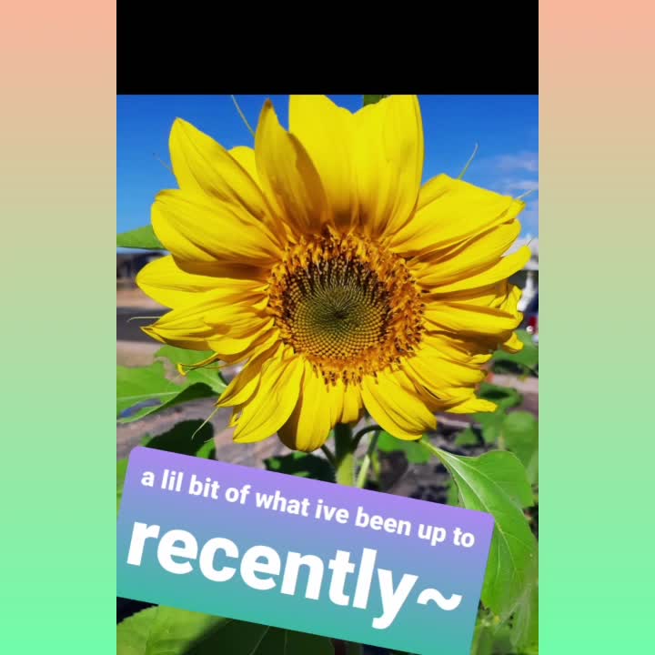 @ArtisticChickenButt