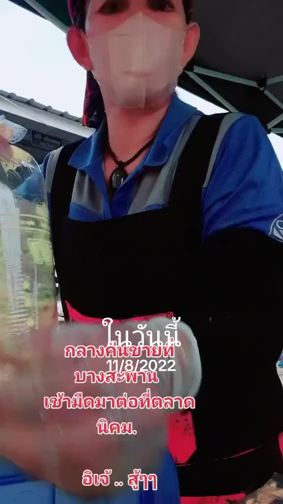@สายเต้า Ple