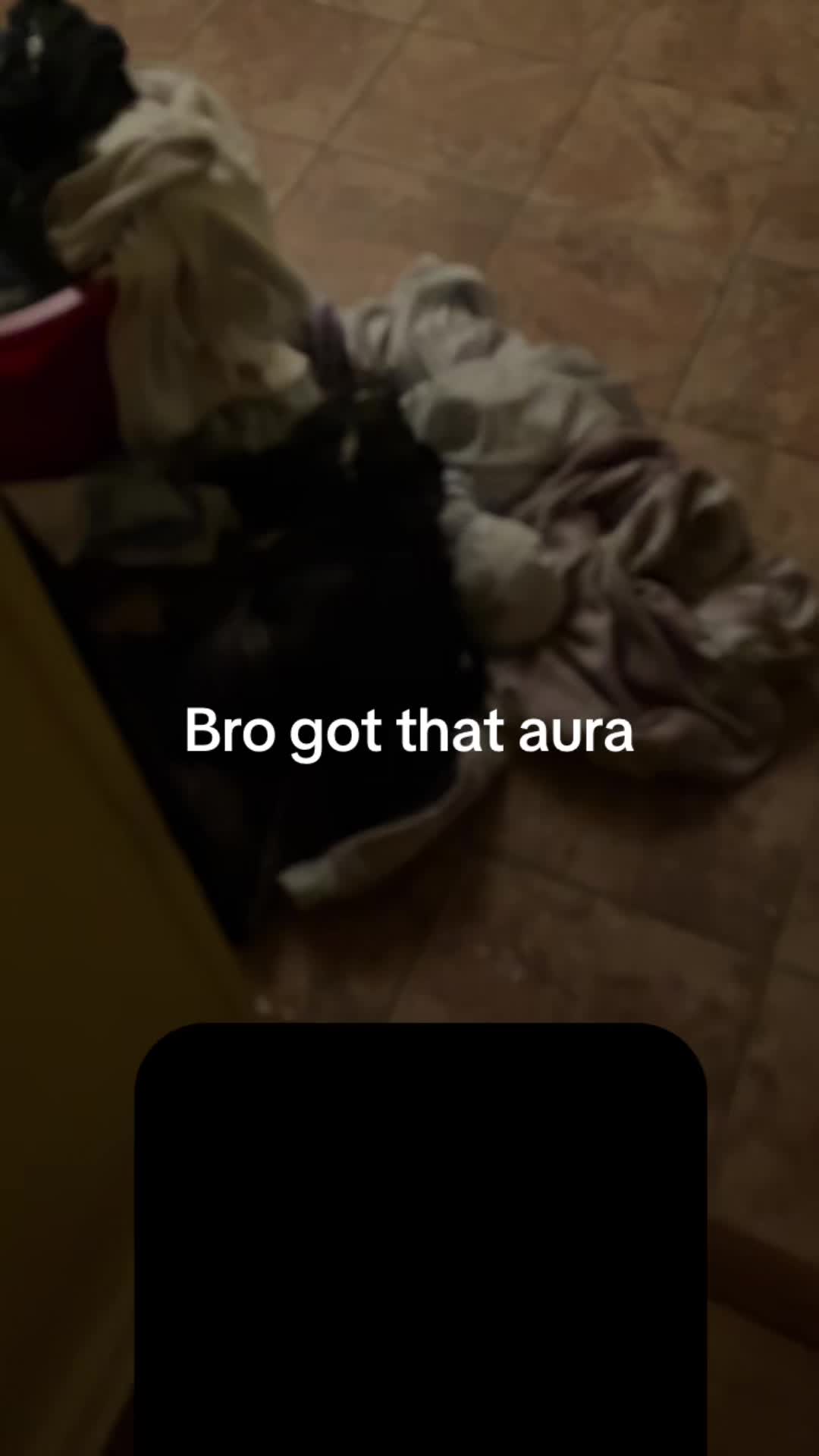 @youhavegoneblonded