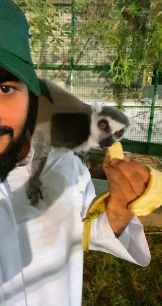 @omar.alzaabi