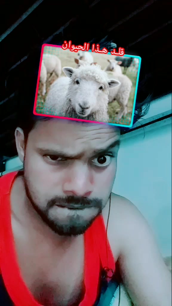 @Rahul Kumar