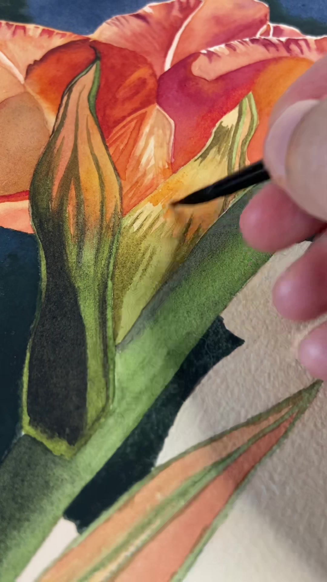 @EmilyWingateArt