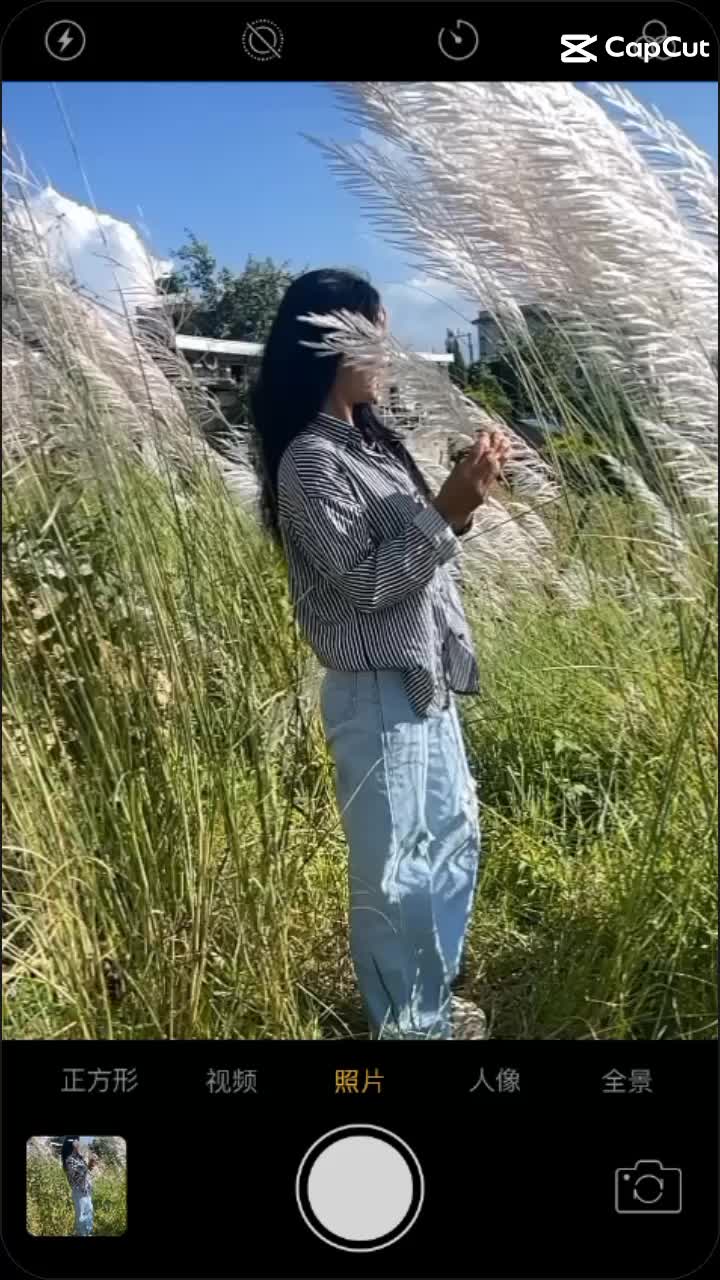 @🌷