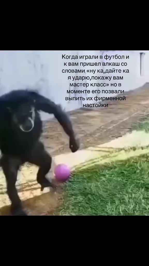 @Ботаник Ярик