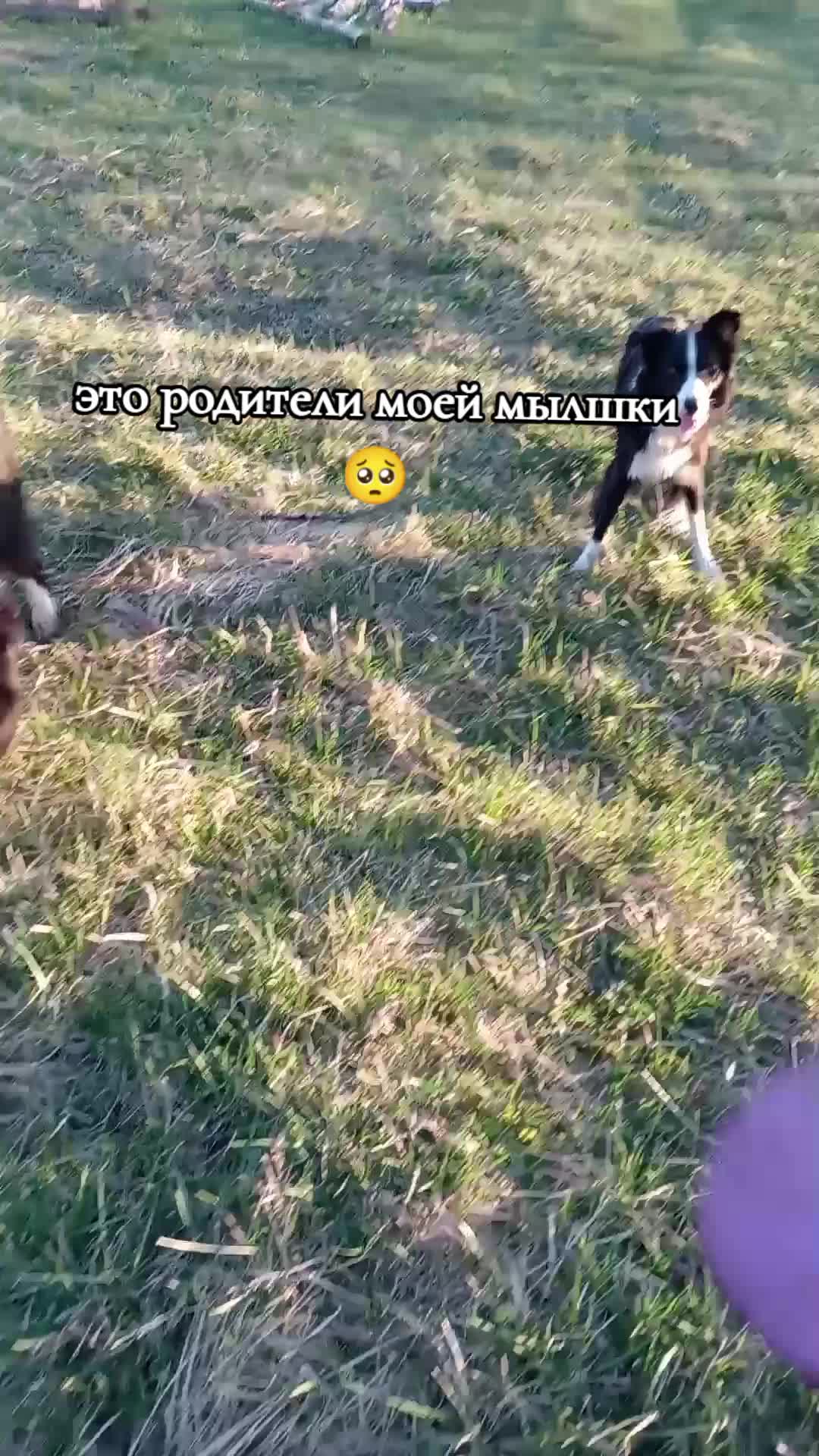 @бк💋