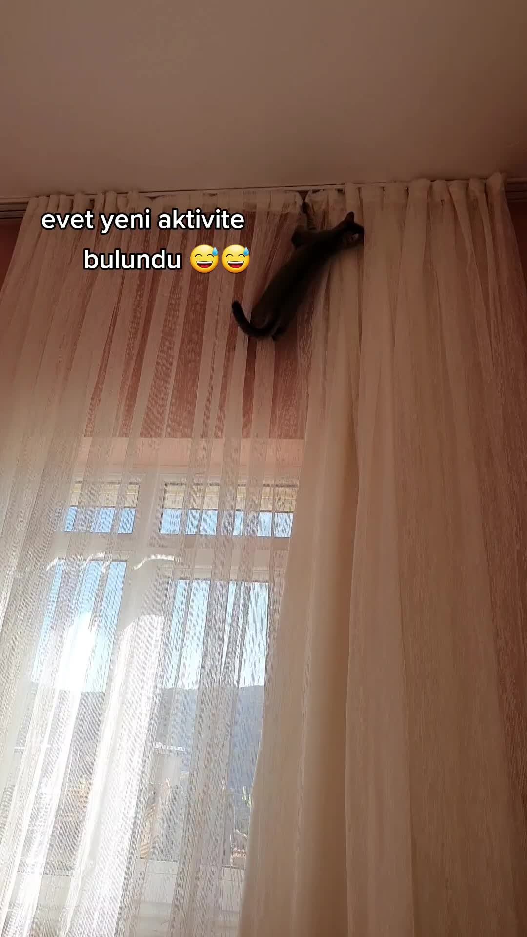 @Alya