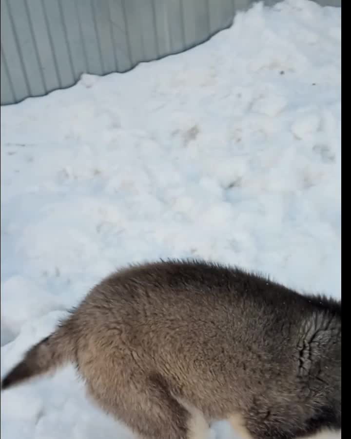 @просто Майа 💗