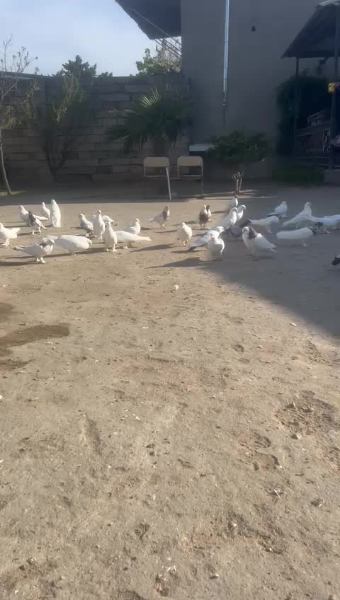 @Əhədov.111