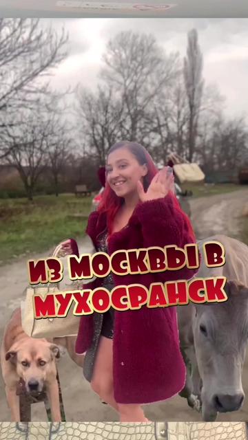 @Alexandra Selezneva