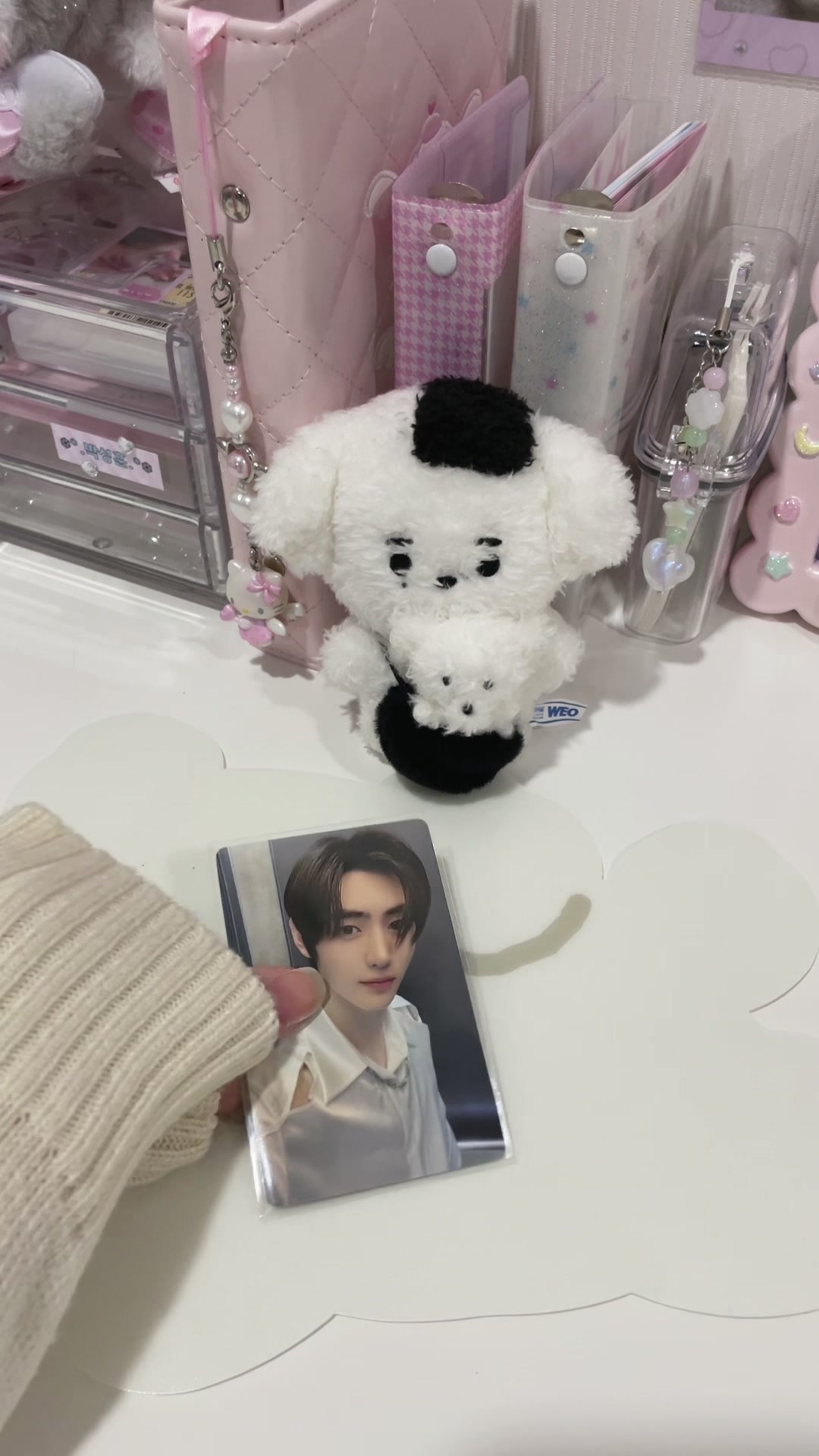 @♡。· ˚· 몽이🐾 ·˚ ·。♡