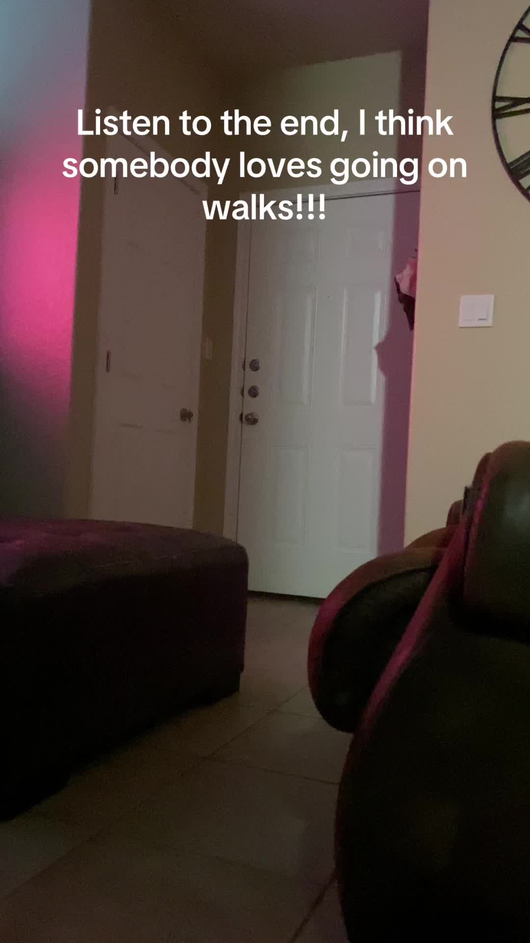 @GSD dog owner!!!