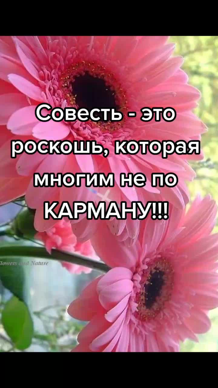 @Irinka💐