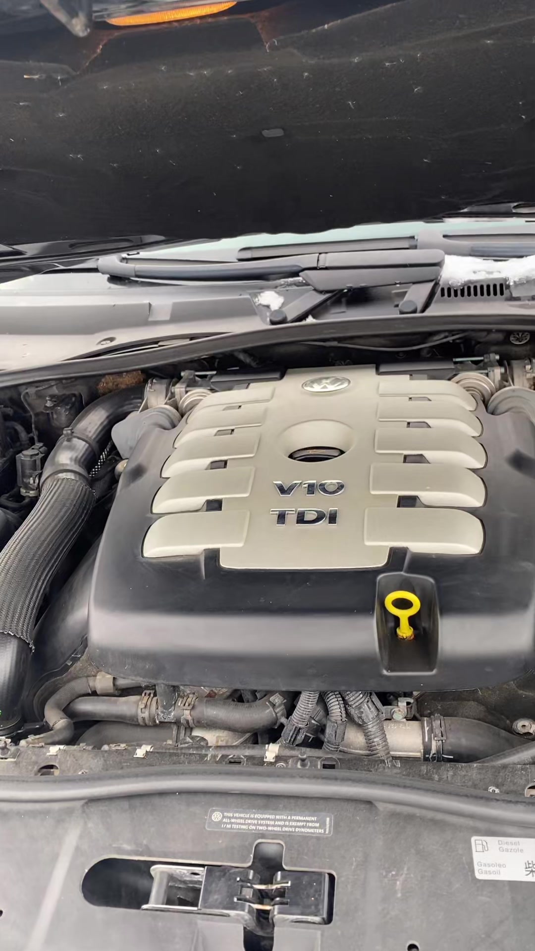 @Touareg V10