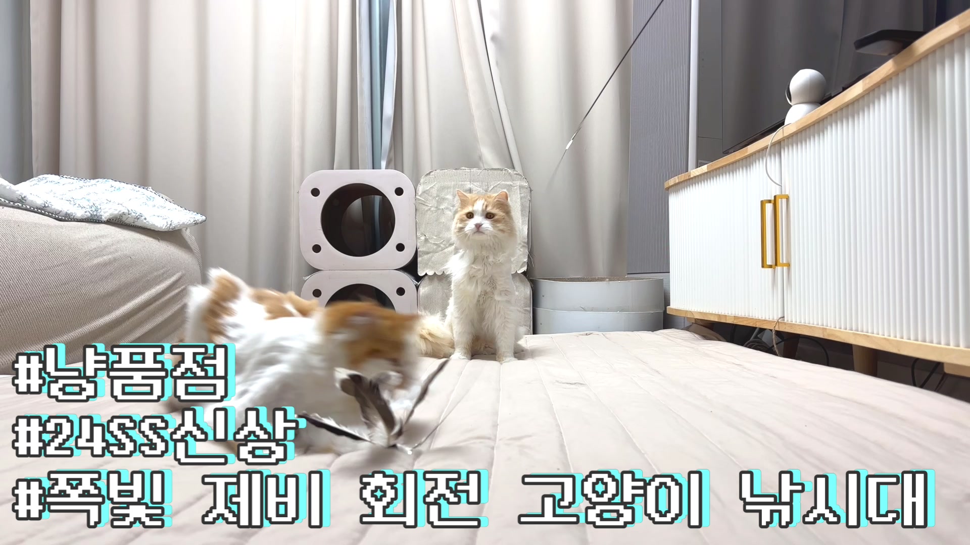 @4냥인생 Hunt 4 Life