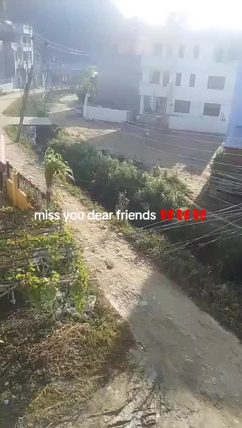 @Anita Acharya