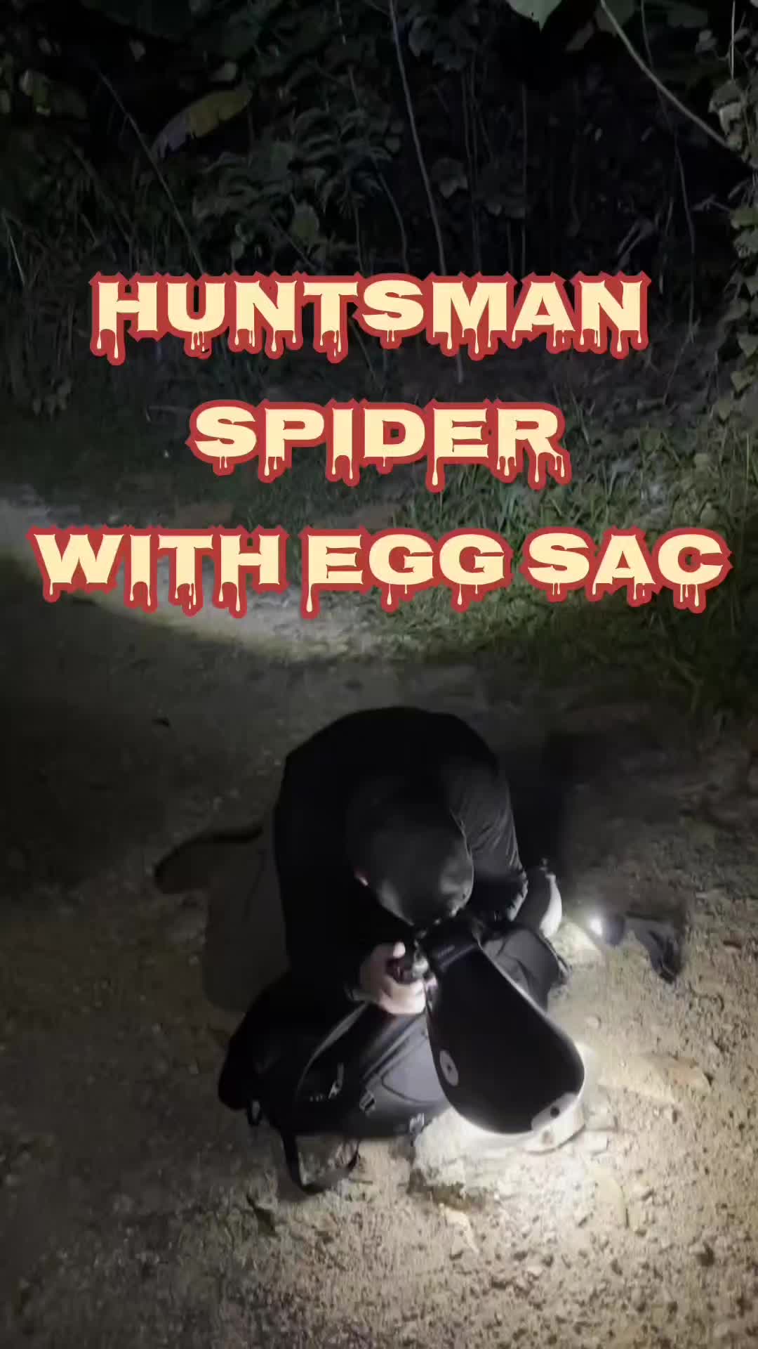 @weemadbeasties