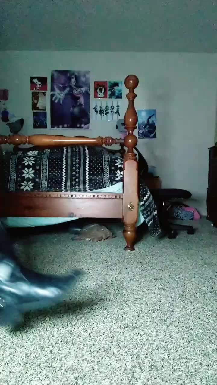 @Mettalyssa