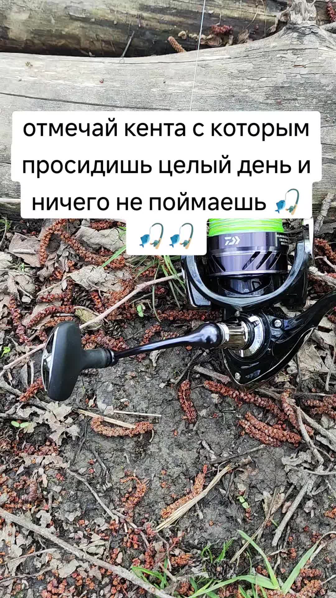 @Серега