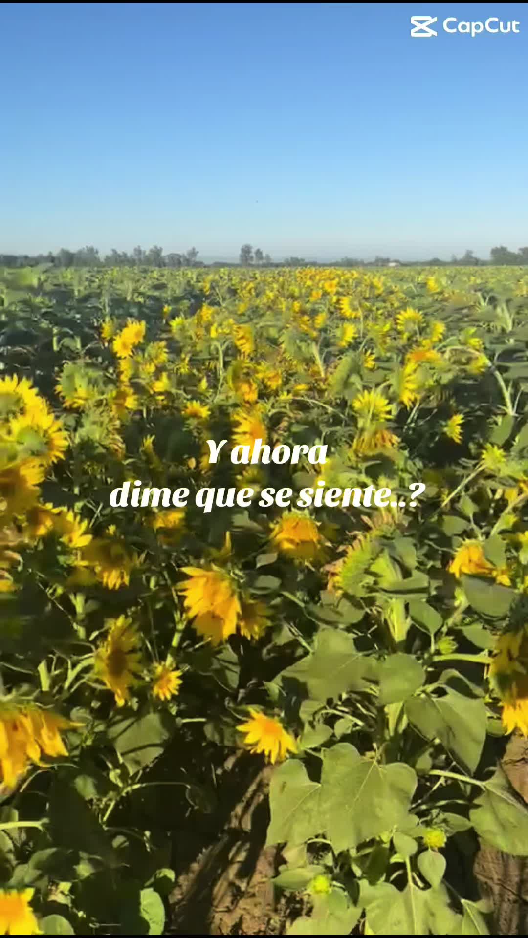 @Gus_Gus