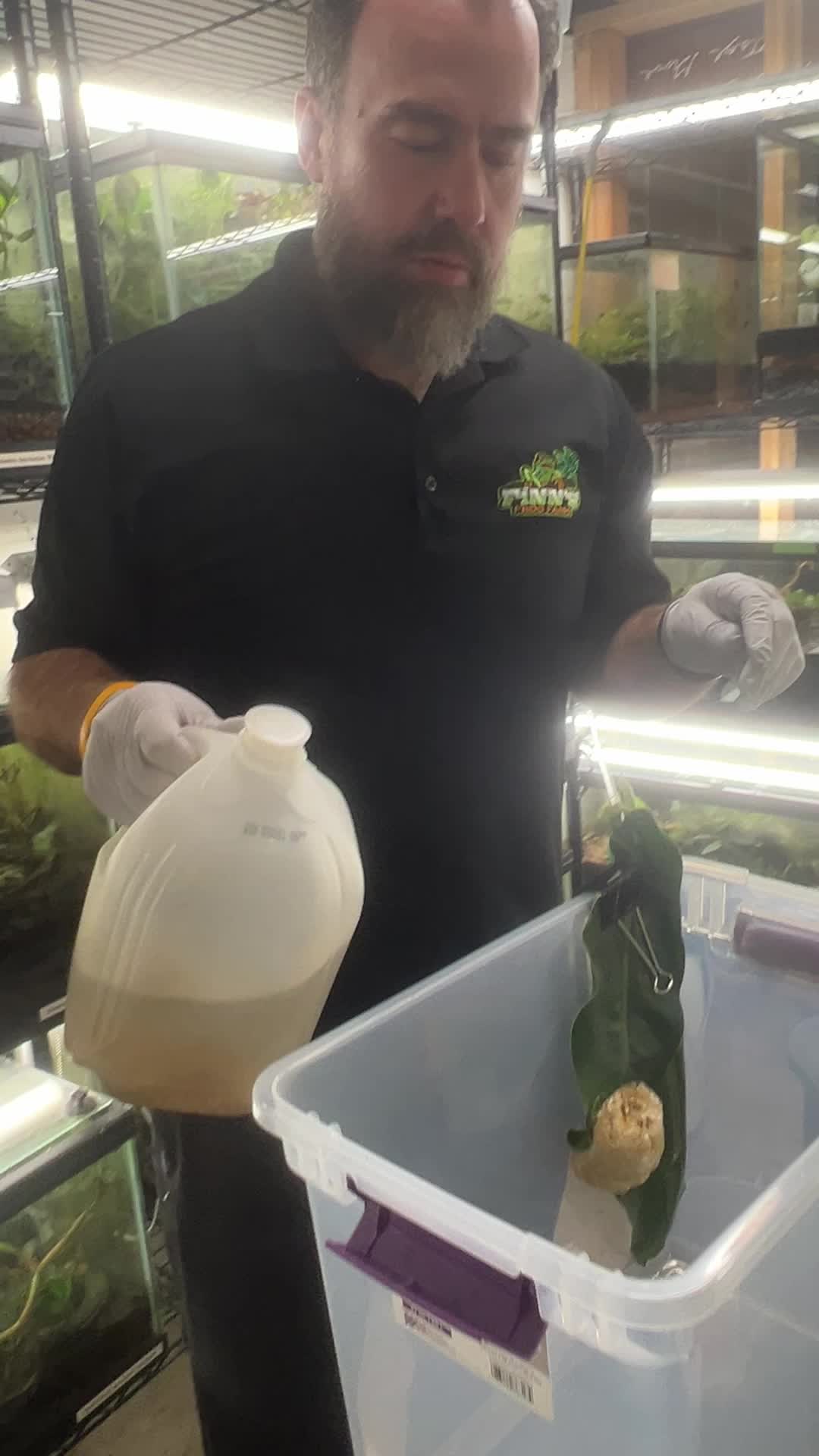 @Finn’s Frog Farm