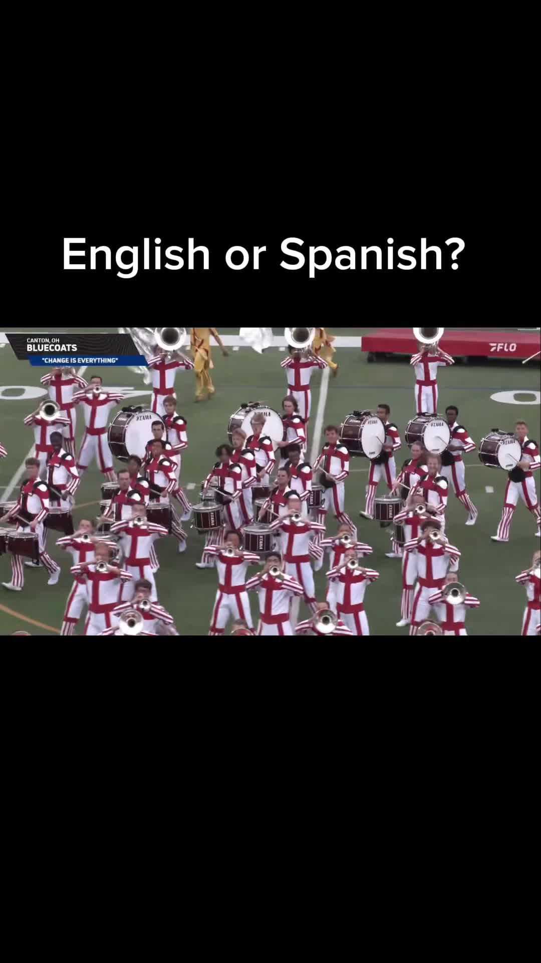 @The Marching Tapir