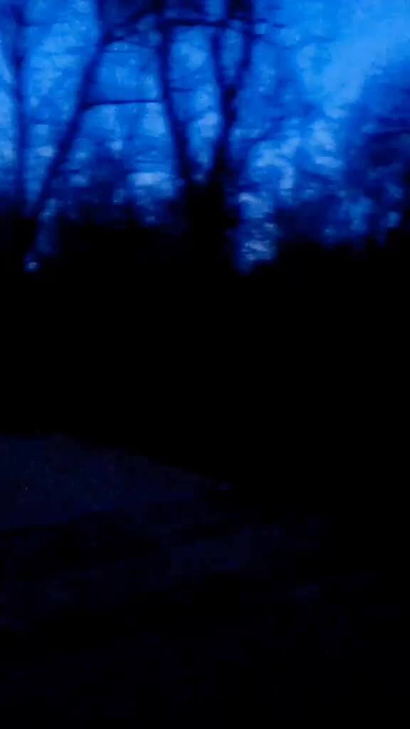@беренгова лужа