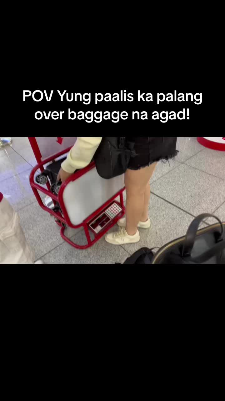 @Lin Xi🦋