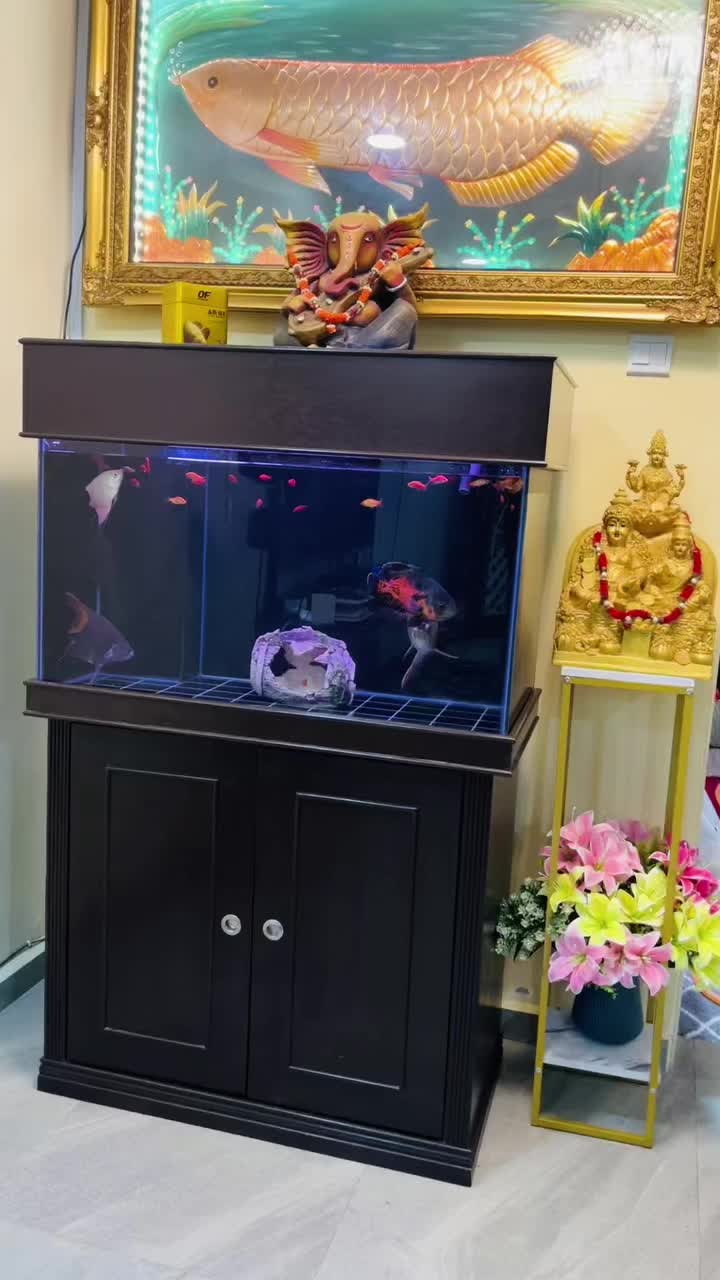 @RS AROWANA EMPIRE