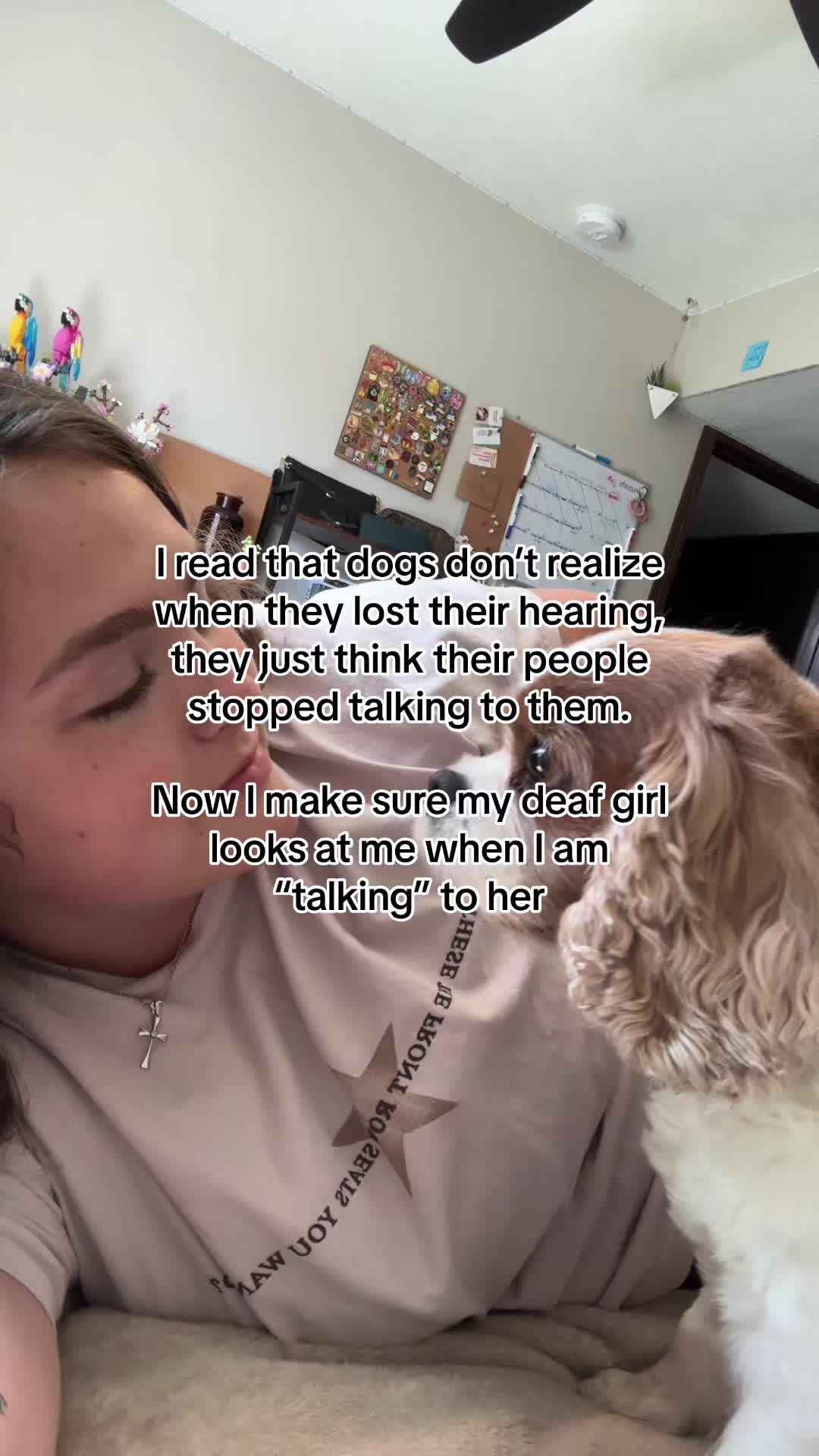 @cait.vi.lover