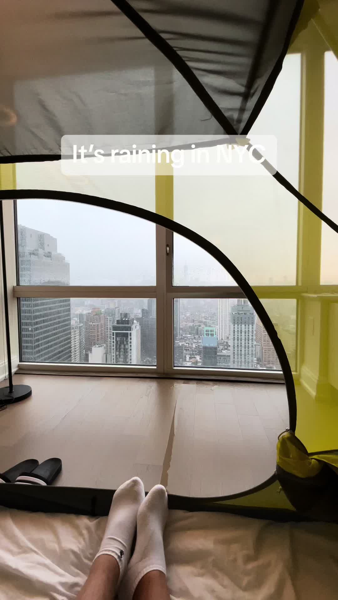 @Ducky_in_NY