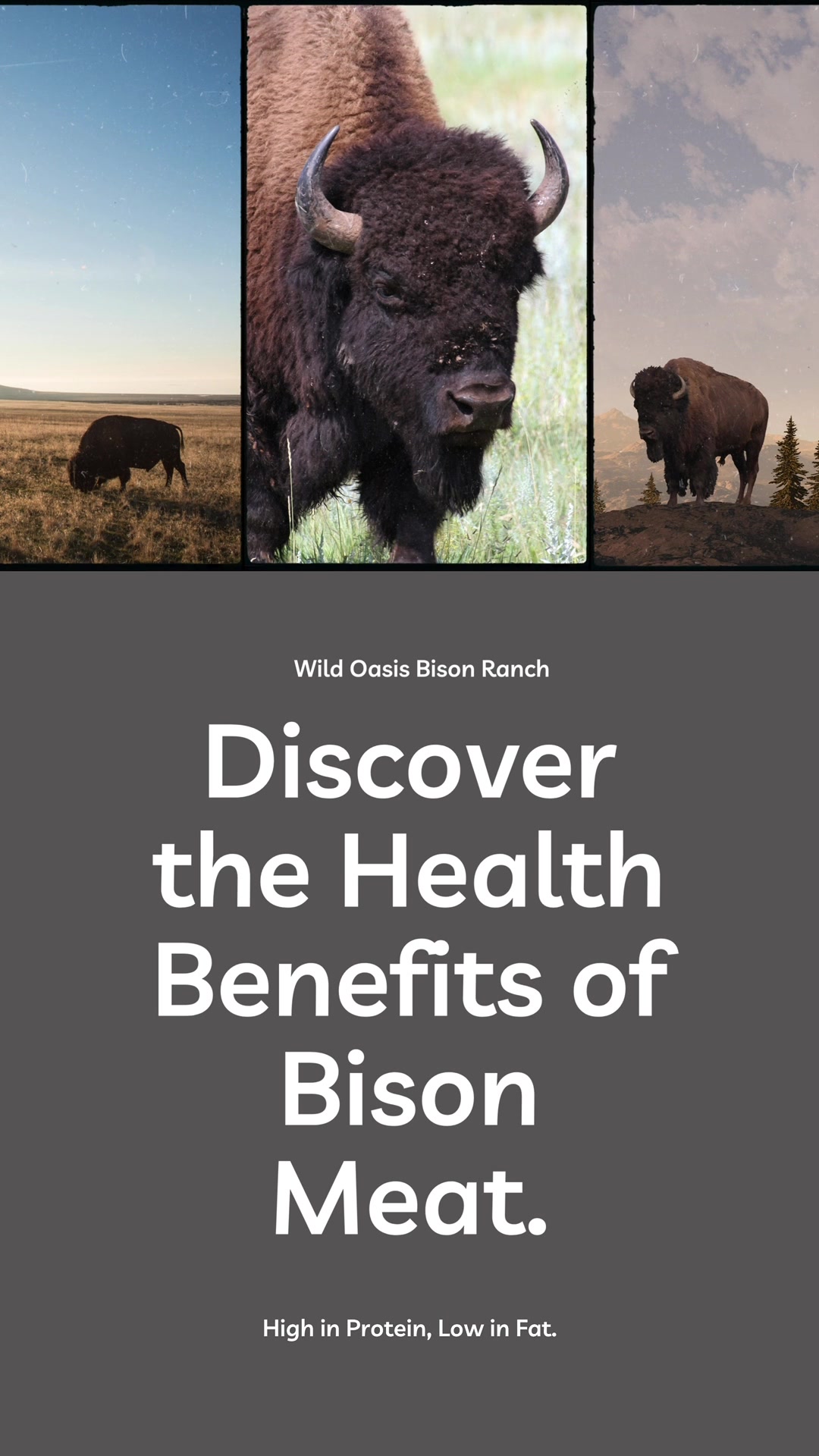 @Wild Oasis Bison Ranch