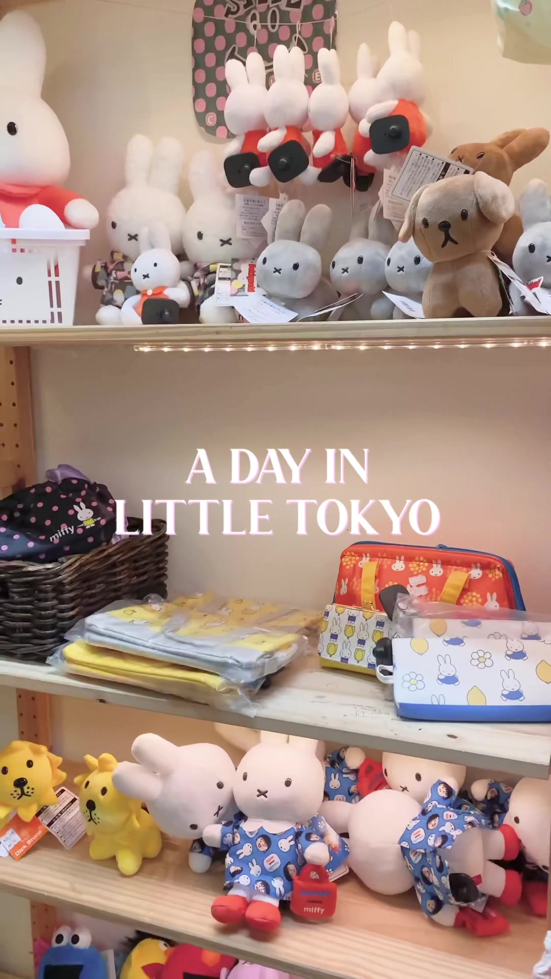 @dor 。 ́︿ ̀。