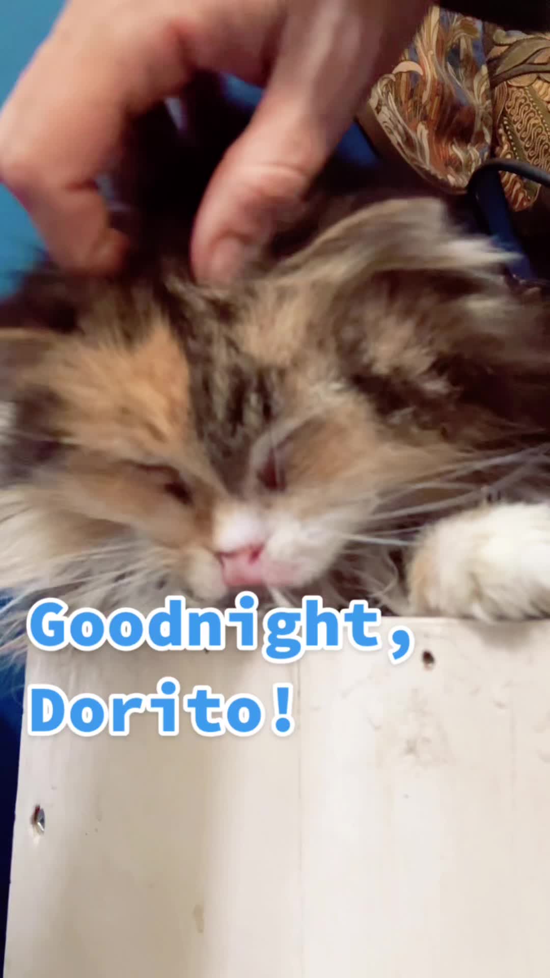 @QuibiDorito