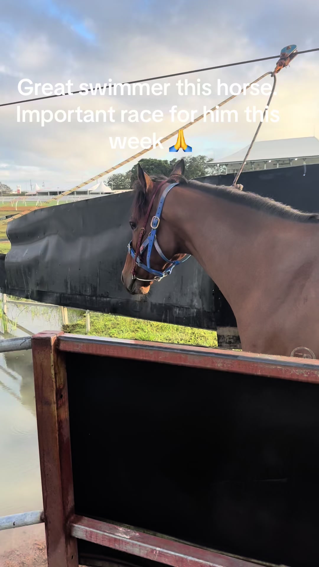 @Ares_racingaustralia