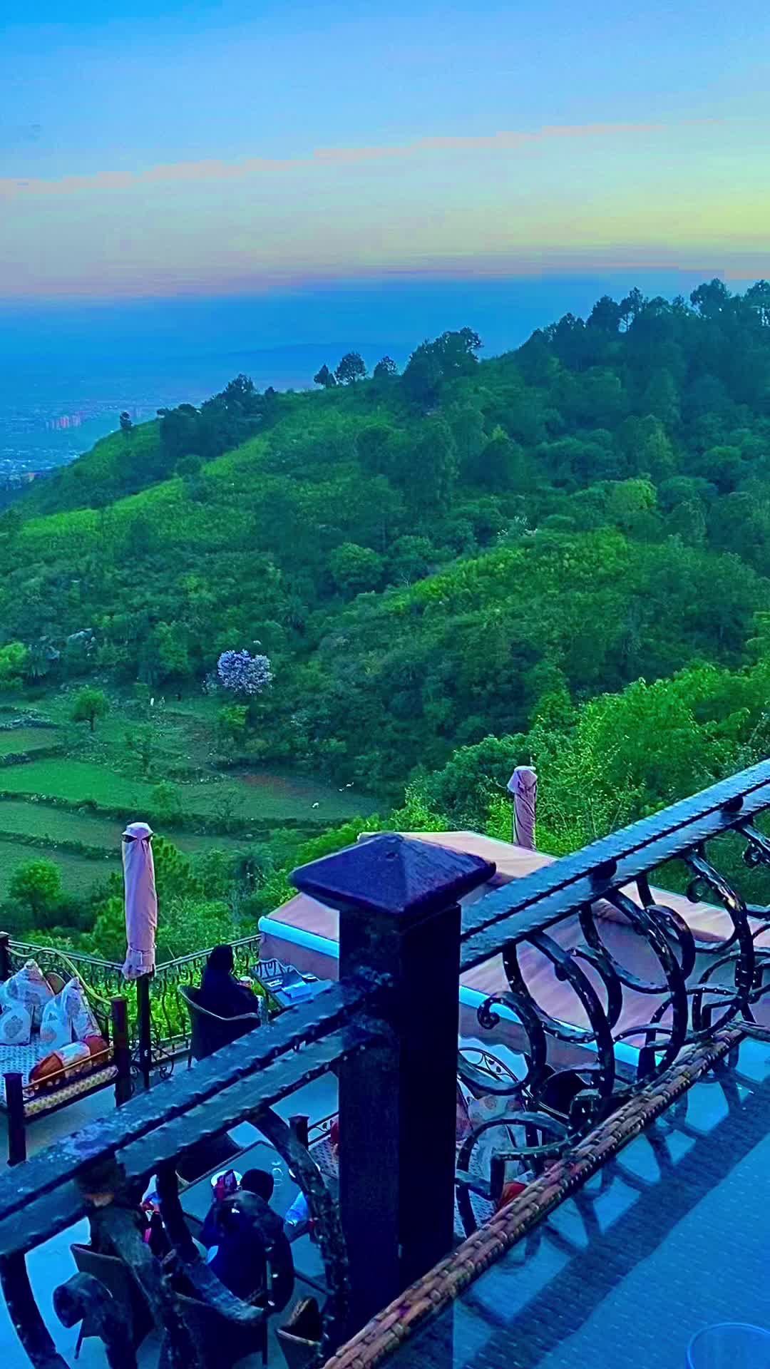 @🌳Aesthetics.Views🌳🌿