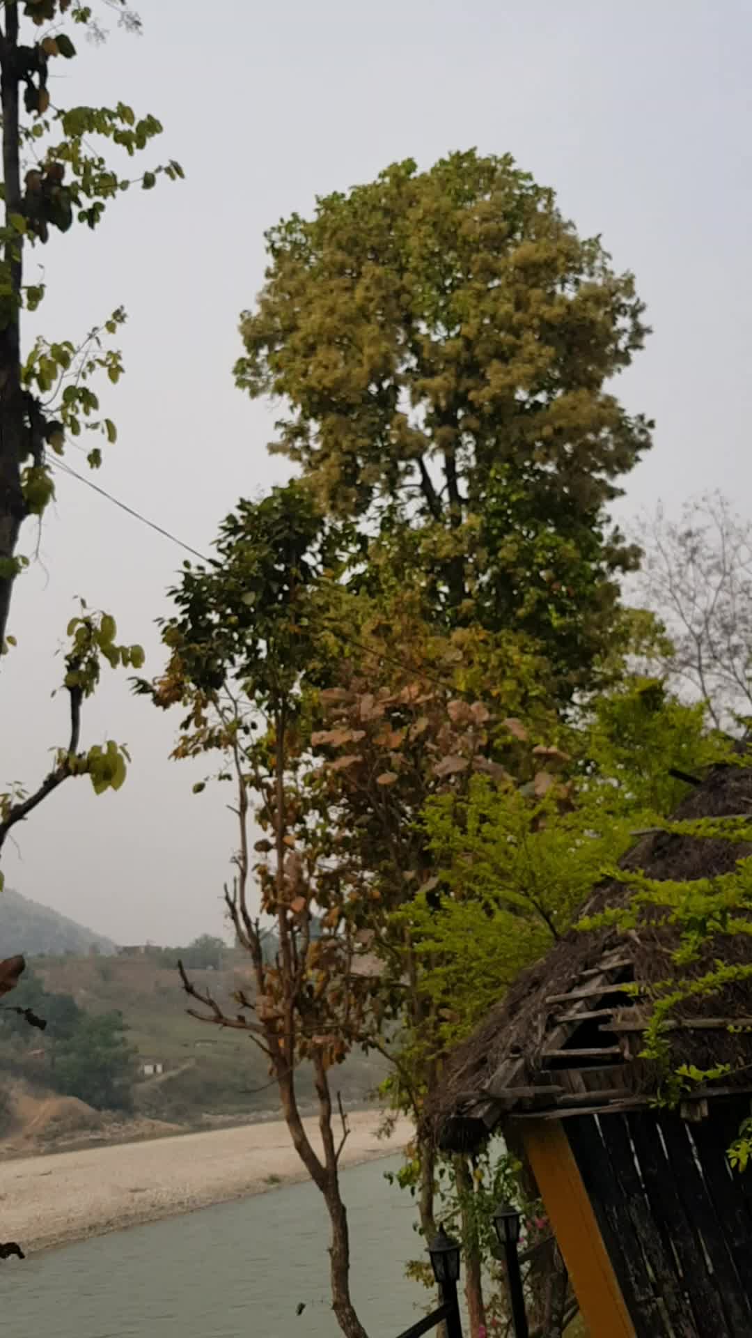 @Subash Chyumi Tamang