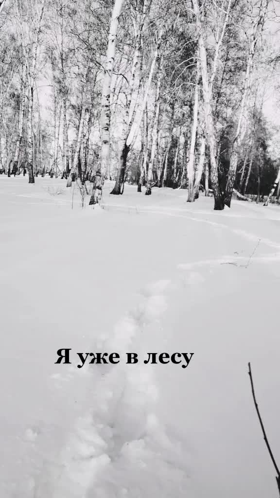 @🌼Оля Петрова🌼