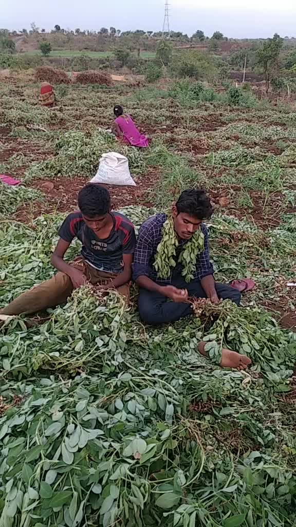 @Vikas Karade
