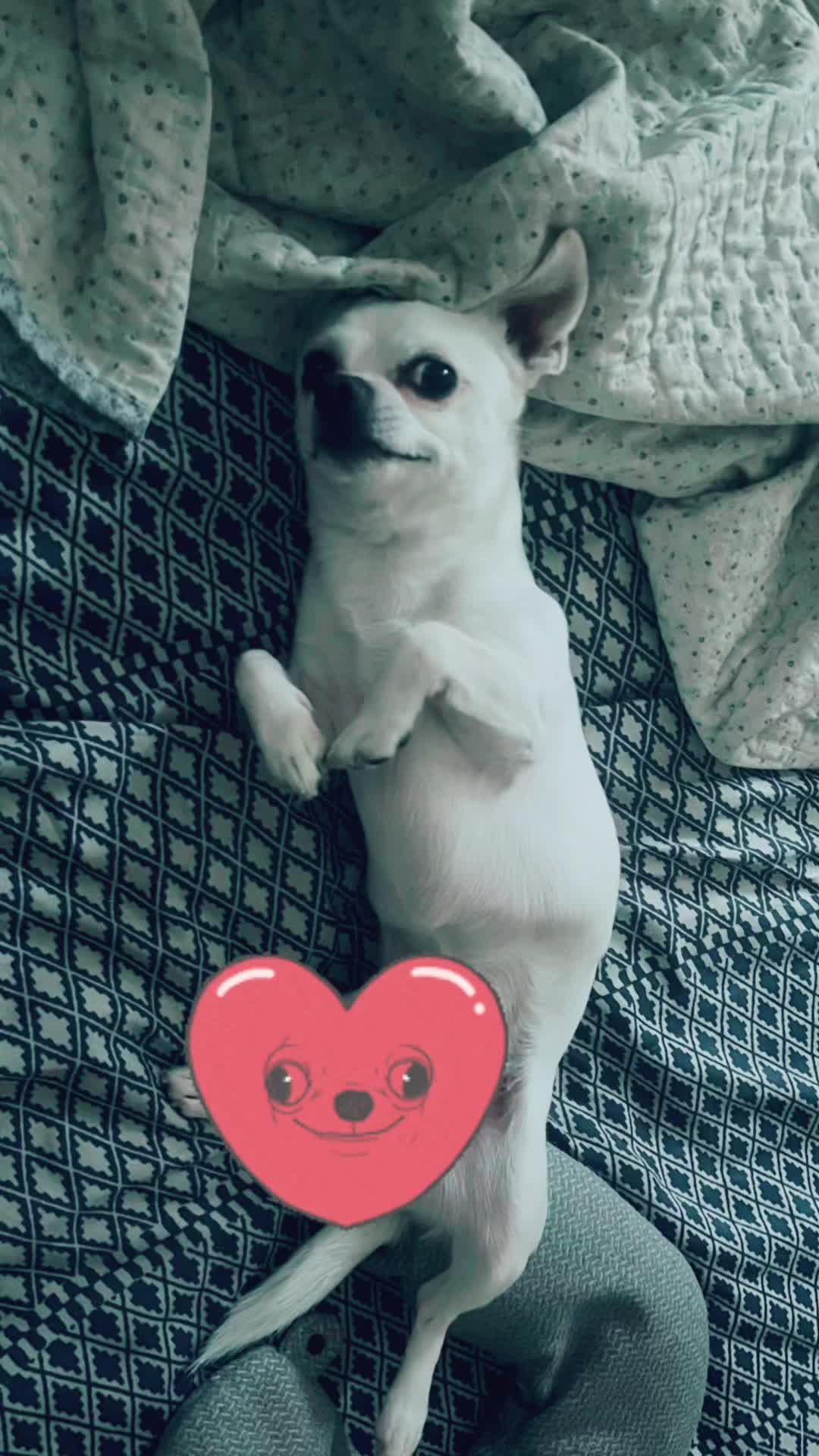 @Edu.urrutiau