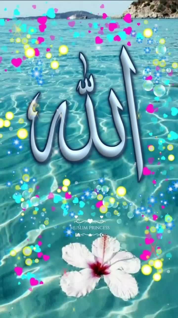 @Kashmiri
