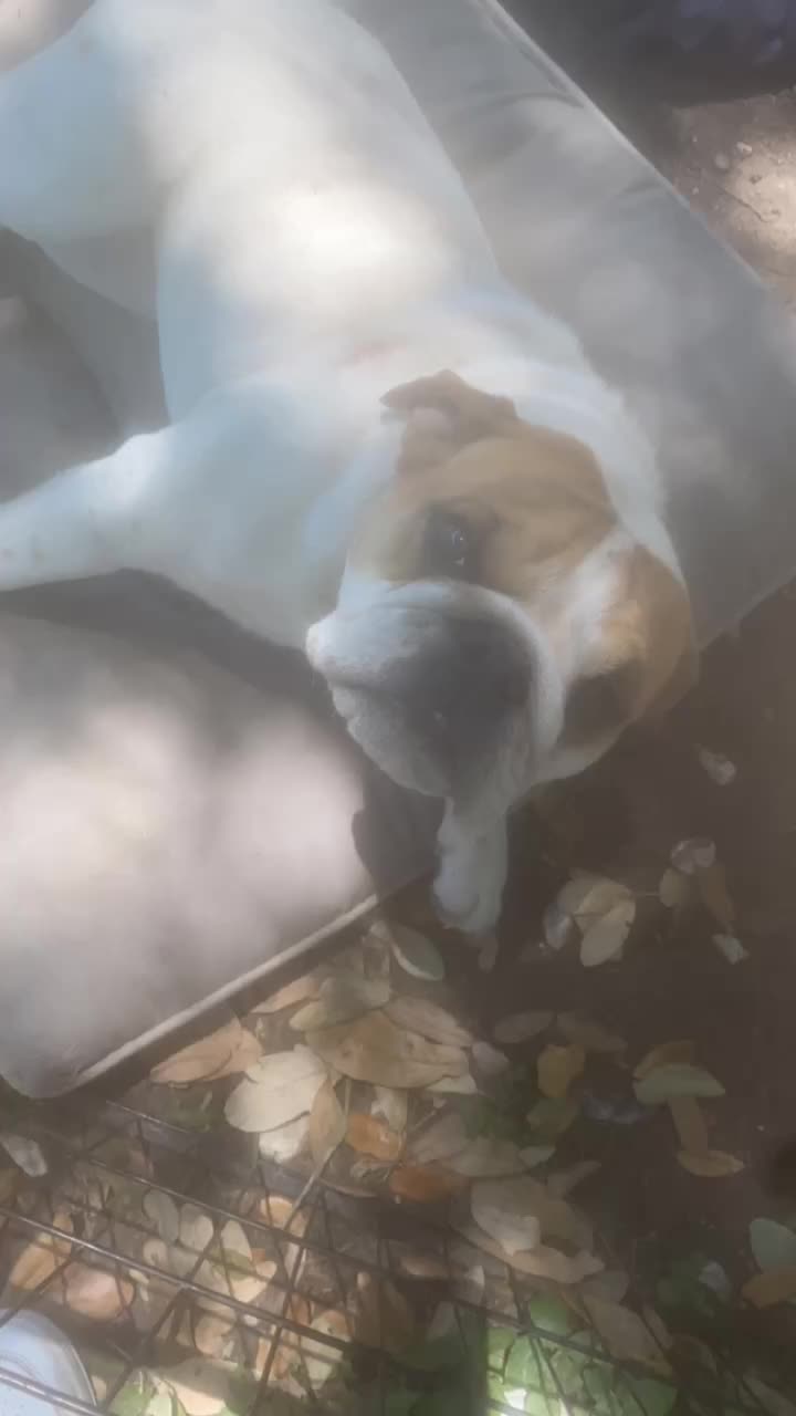 @Miley 🐾🥺❤️