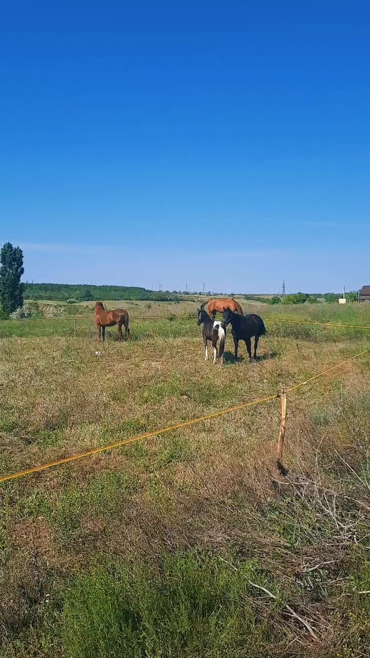 @Александр Червяков