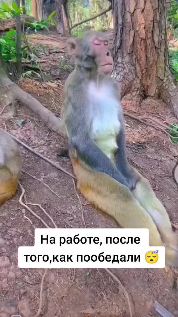 @akasova_aliya