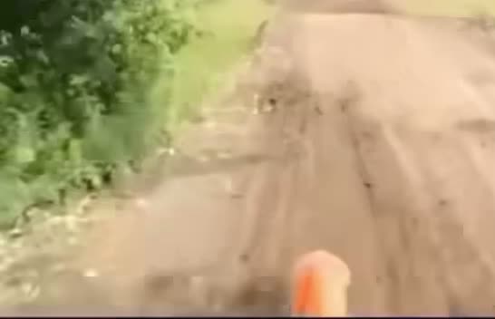 @Thatboy Mike 🏍️💨🎣🦆