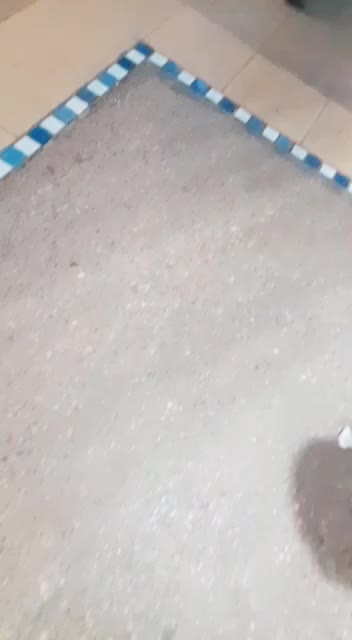 @Preet.k Dhindsa