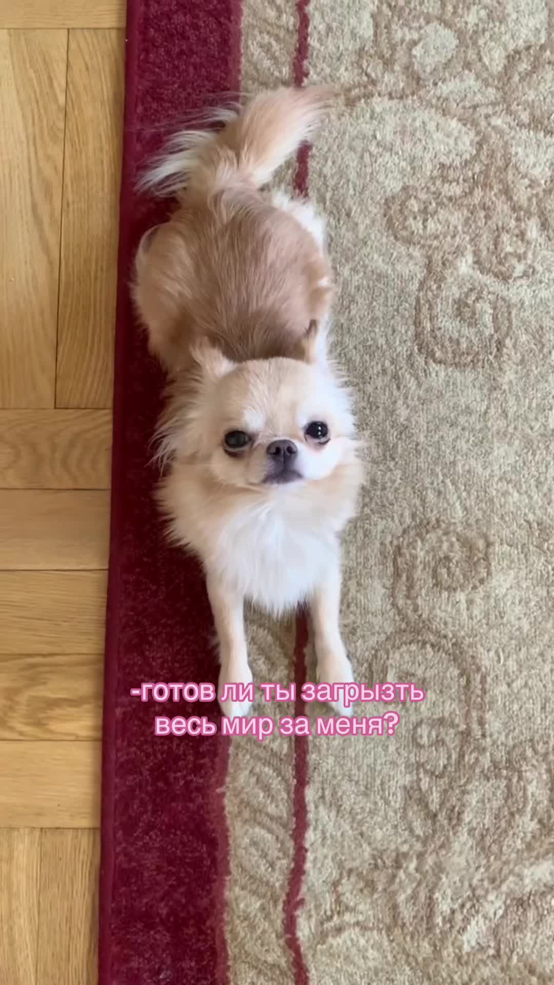 @яникс🦦