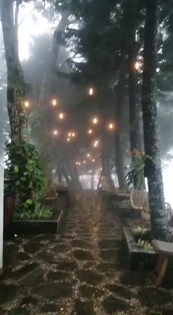 @~🇮🇩 ابدا واحبد 🇮🇩~