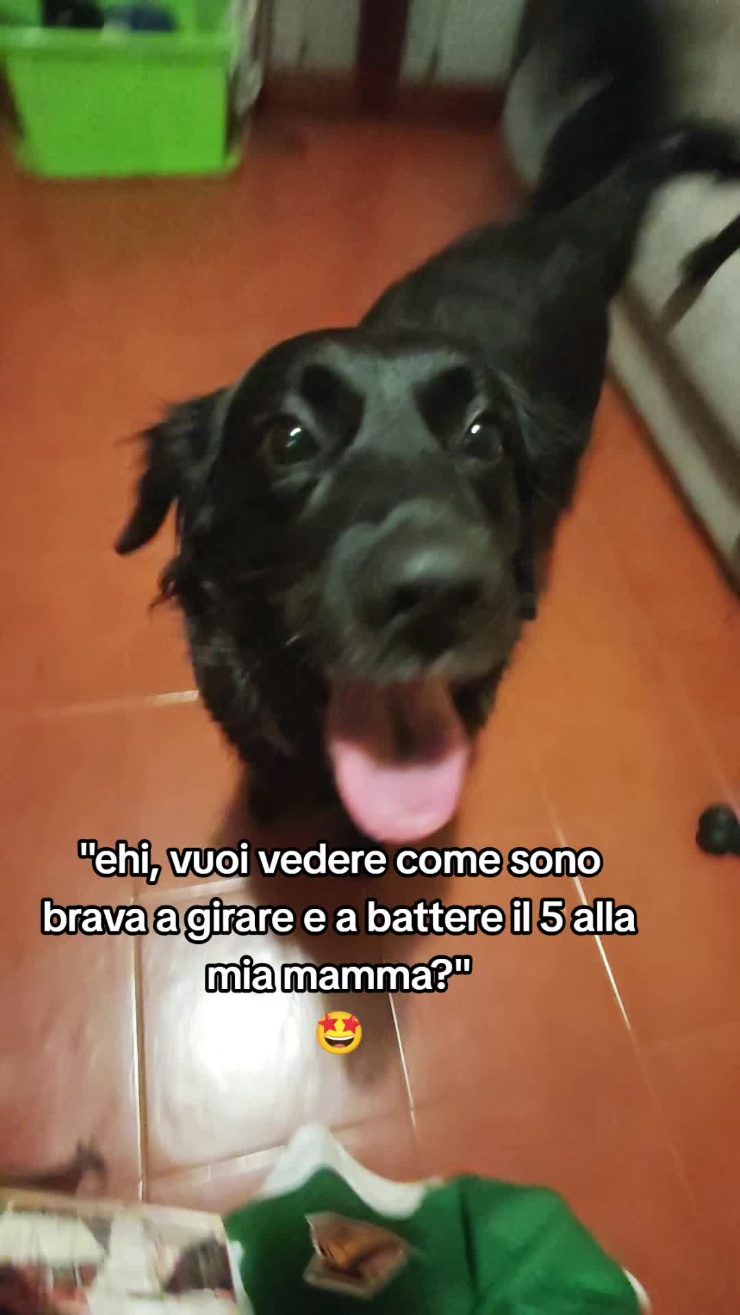 @Kiki AryaSirius Carrara
