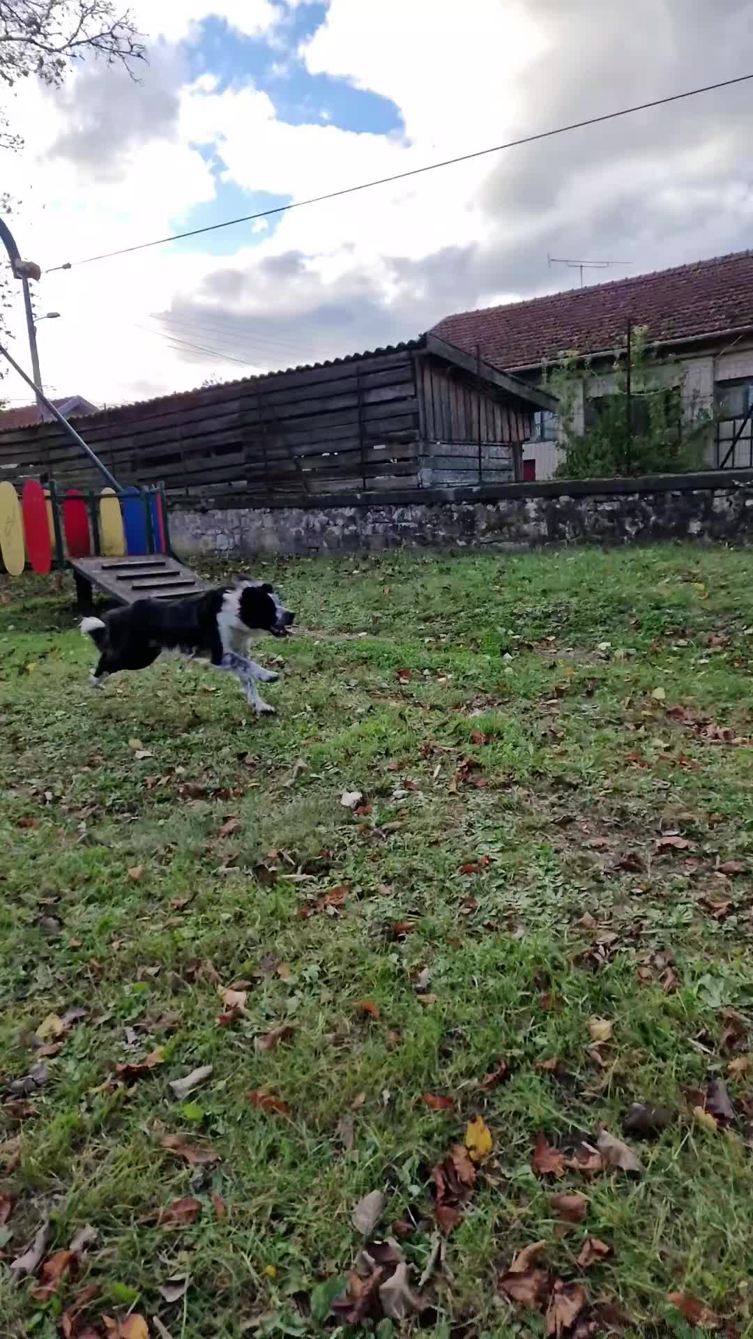 @Marley.0401